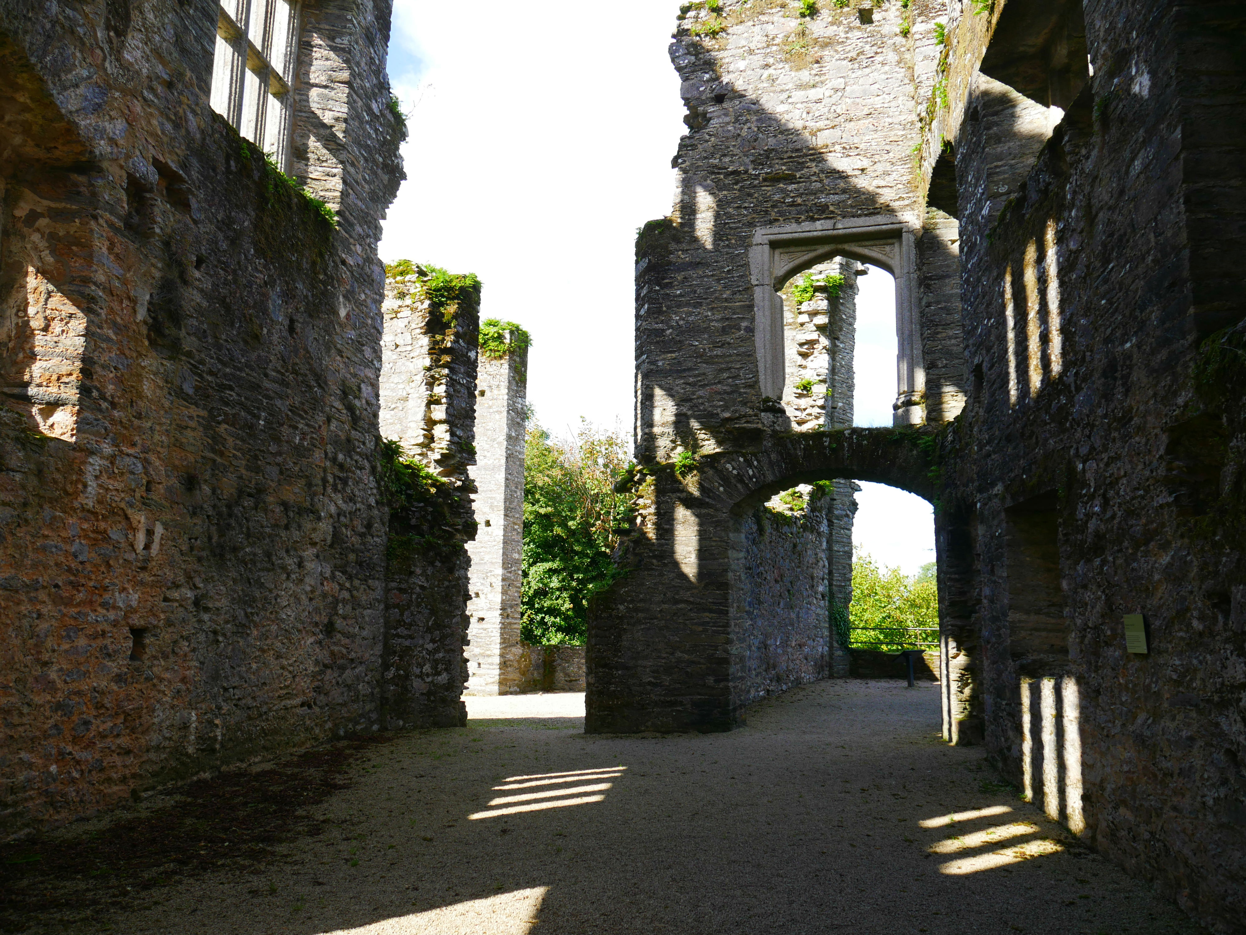 Berry Pomeroy Castle near Torquay - dog friendly visitor attraction