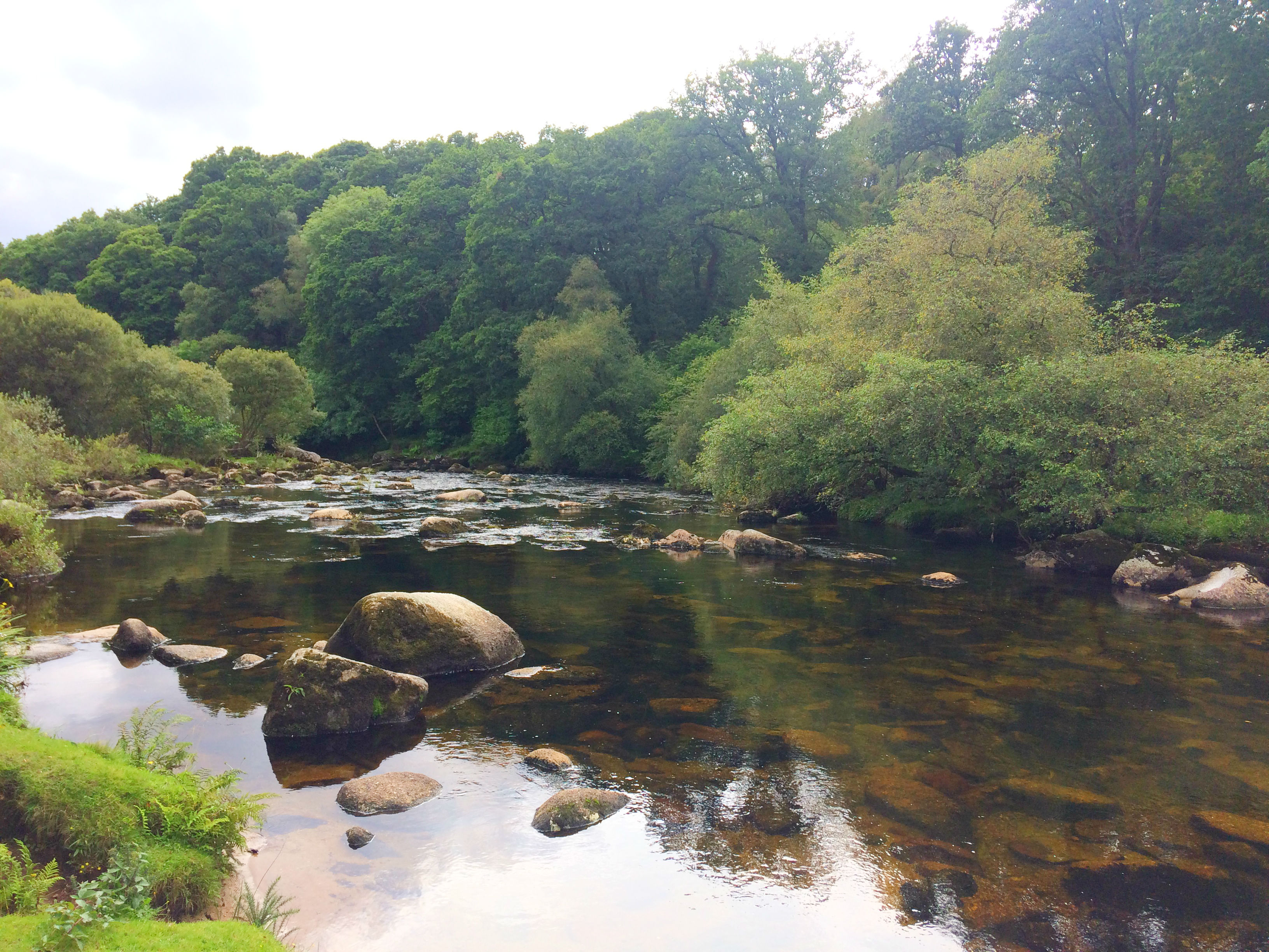 River Dart on Dartmoor